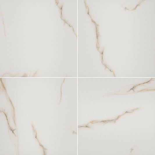 ARIA BIANCO 24X24