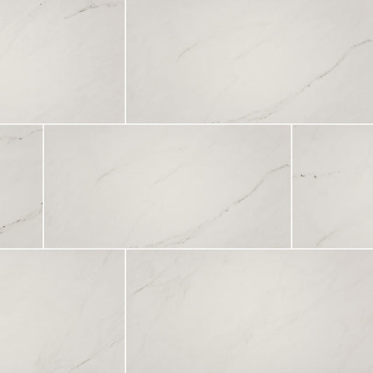 ARIA ICE 12X24