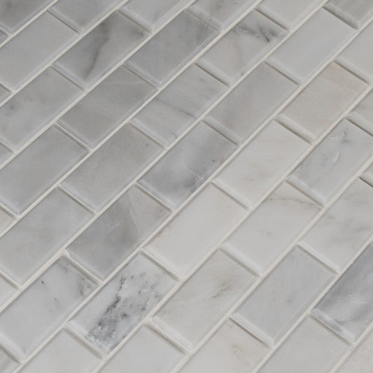 GREECIAN WHITE 2X4 MOSAIC
