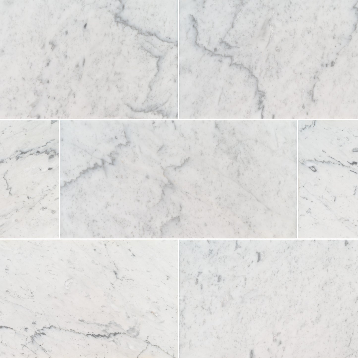 CARRARA WHITE 12X 24 POLISHED
