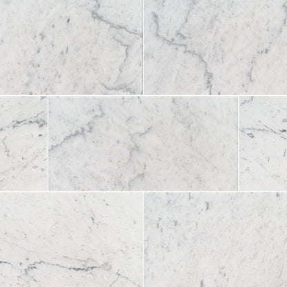 CARRARA WHITE 12X 24 POLISHED