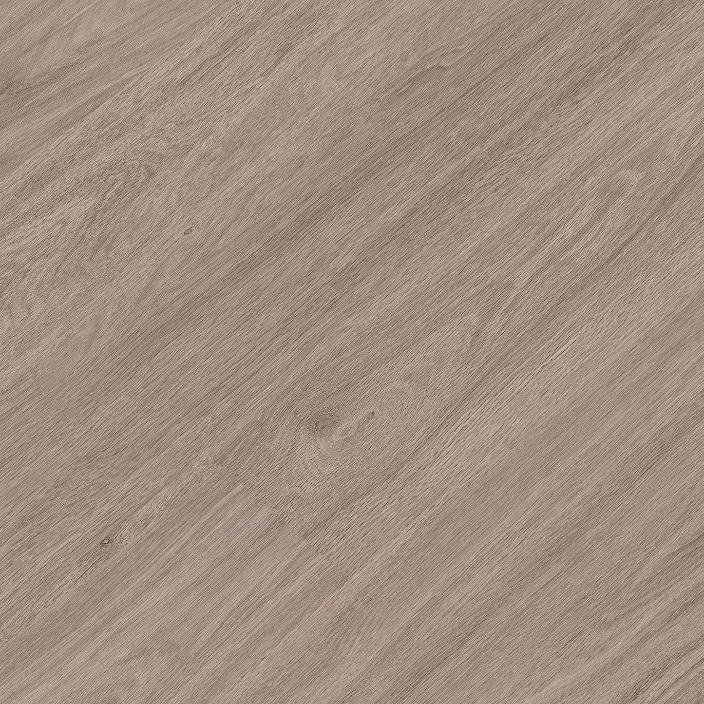 KATAVIA BLEACHED ELM 6x48