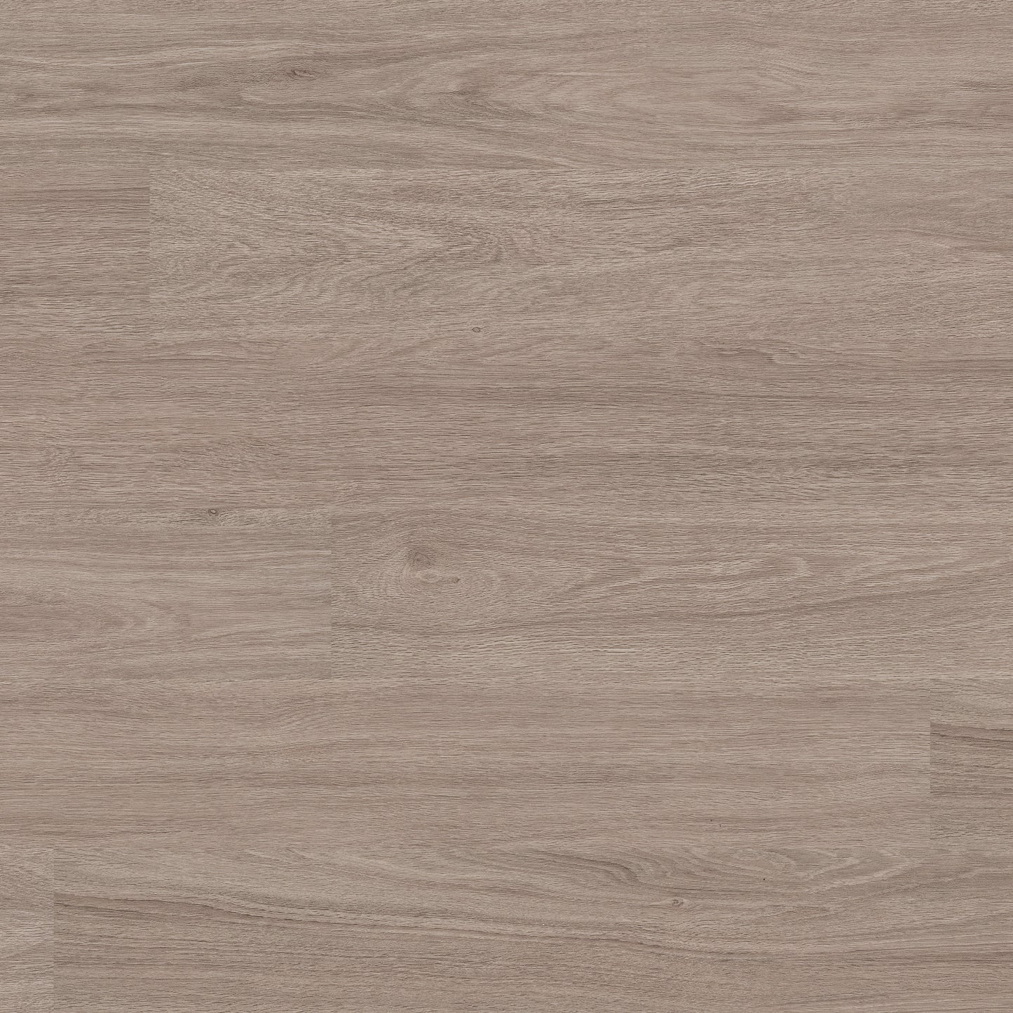 KATAVIA BLEACHED ELM 6x48