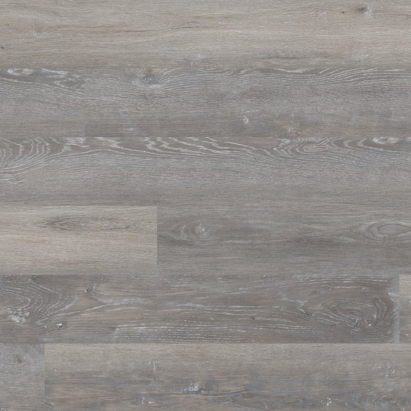 GLENRIDGE ELMWOOD ASH 6x48